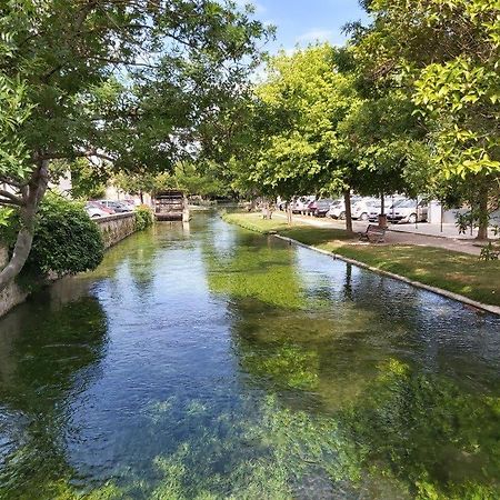 Gite Dans Les Pins Avec Piscine Βίλα Mazan Εξωτερικό φωτογραφία