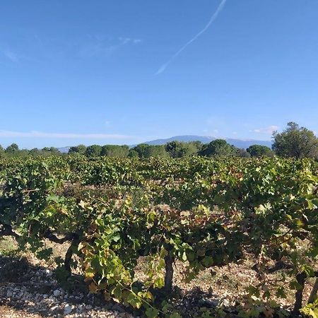 Gite Dans Les Pins Avec Piscine Βίλα Mazan Εξωτερικό φωτογραφία