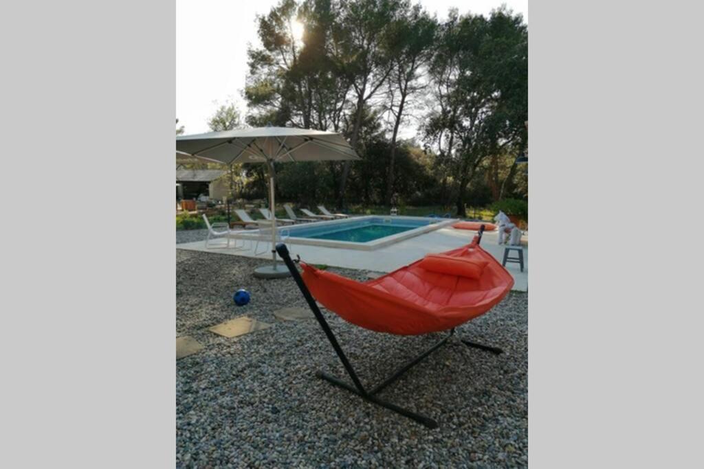 Gite Dans Les Pins Avec Piscine Βίλα Mazan Εξωτερικό φωτογραφία