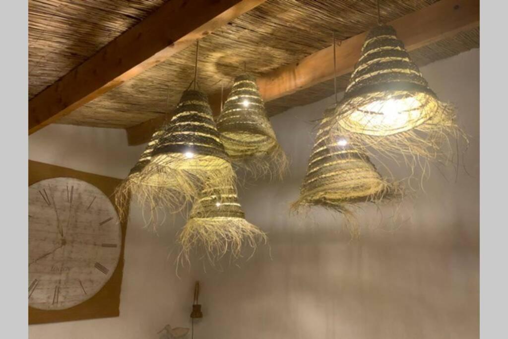Gite Dans Les Pins Avec Piscine Βίλα Mazan Εξωτερικό φωτογραφία