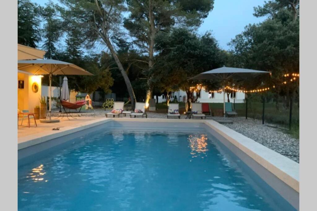 Gite Dans Les Pins Avec Piscine Βίλα Mazan Εξωτερικό φωτογραφία