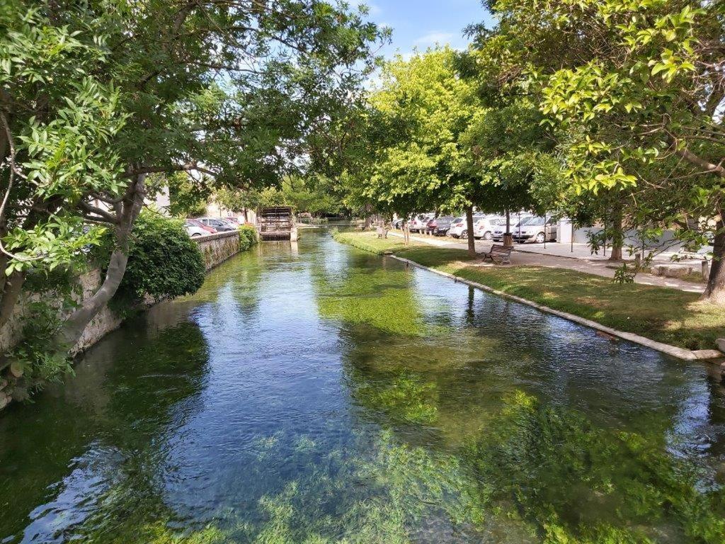 Gite Dans Les Pins Avec Piscine Βίλα Mazan Εξωτερικό φωτογραφία