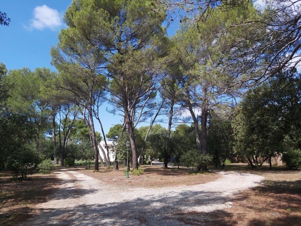 Gite Dans Les Pins Avec Piscine Βίλα Mazan Εξωτερικό φωτογραφία