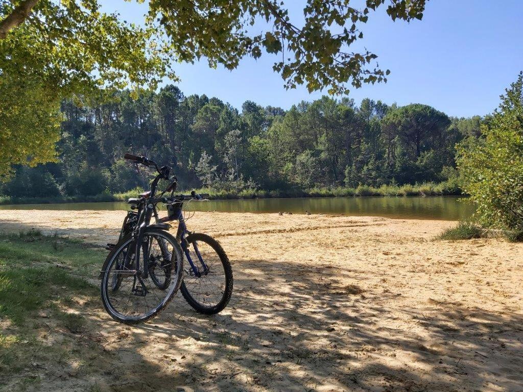 Gite Dans Les Pins Avec Piscine Βίλα Mazan Εξωτερικό φωτογραφία