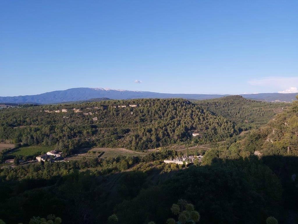 Gite Dans Les Pins Avec Piscine Βίλα Mazan Εξωτερικό φωτογραφία
